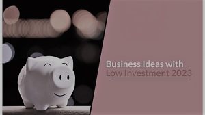 Small Business Ideas With Low Investment 2023