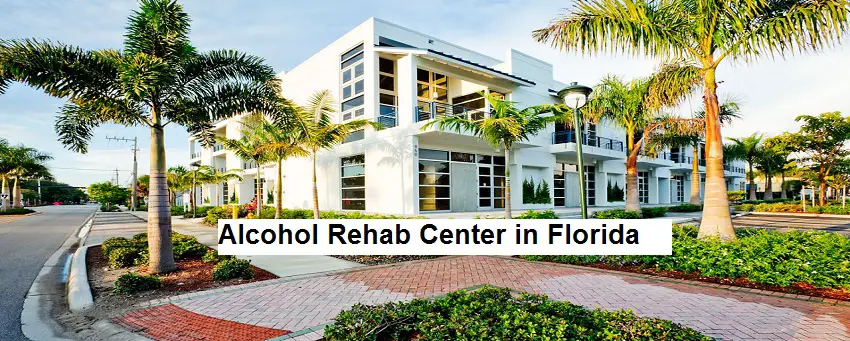 Alcohol Rehab Center in Florida