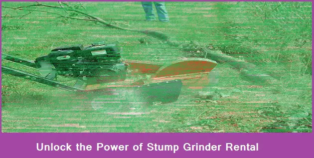 Unlock the Power of Stump Grinder Rental