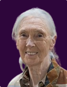 Jane Goodall (1934–Present)