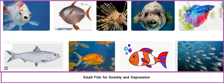 Small Fish for Anxiety and Depression